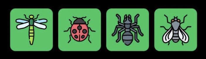 FLIES Daily Combo 18 May 2025
